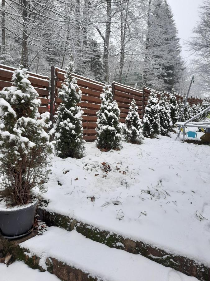 Holiday home Quad Poiana Brasov